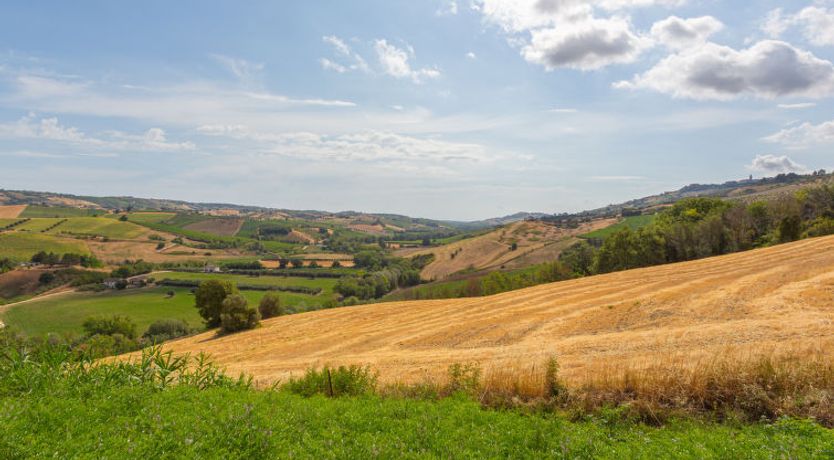 Photo of I Due Carpini Apartment 2