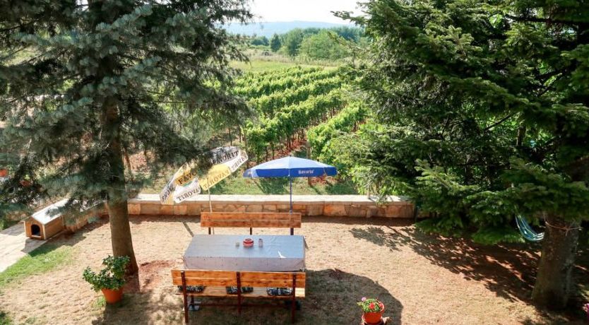 Photo of Mirjana Apartment 2