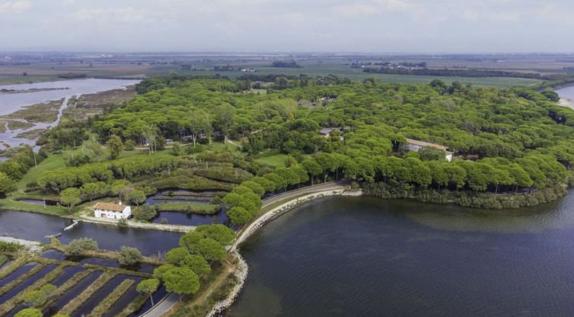 Photo of Green Holiday (GDO201) Holiday Home 3