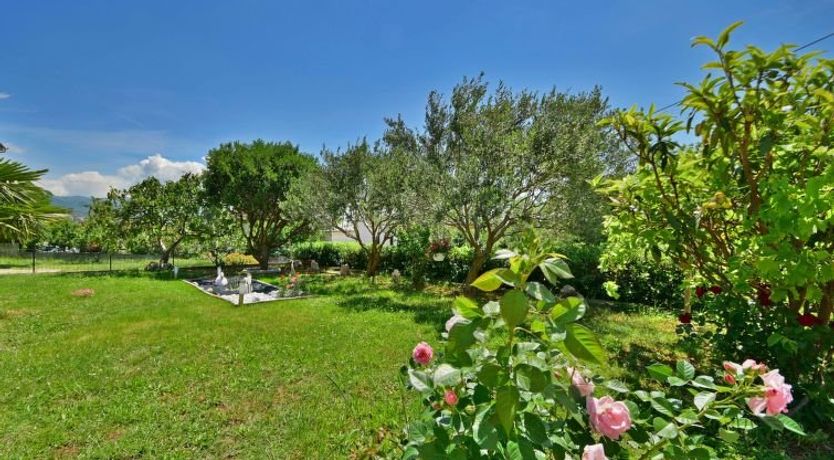 Photo of Željka Apartment 3