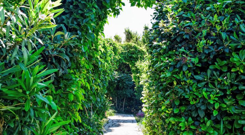 Photo of Stana Apartment 3