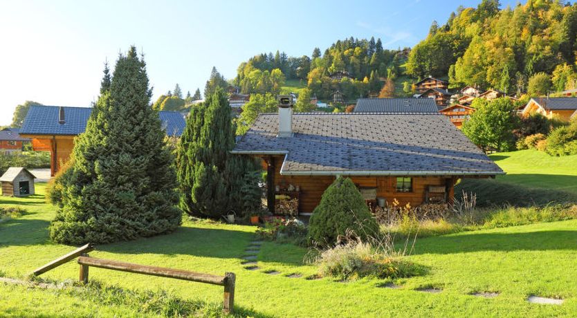 Photo of Chalet Lorila