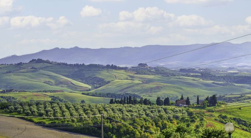 Photo of La Salamandra