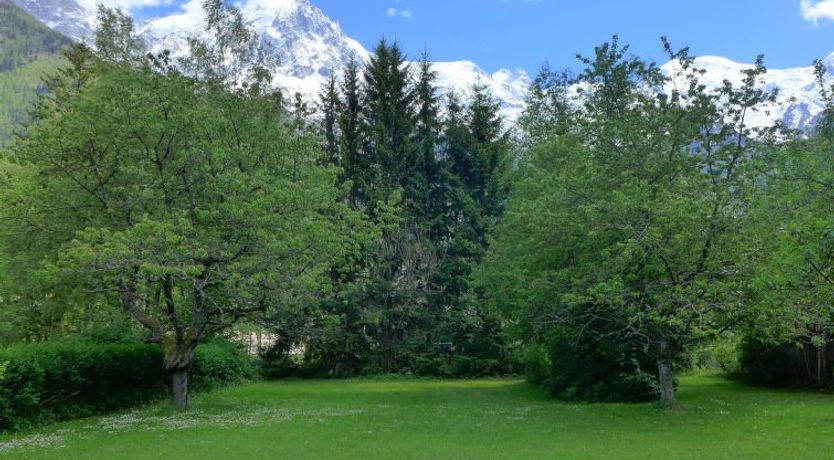 Photo of Maison Novel