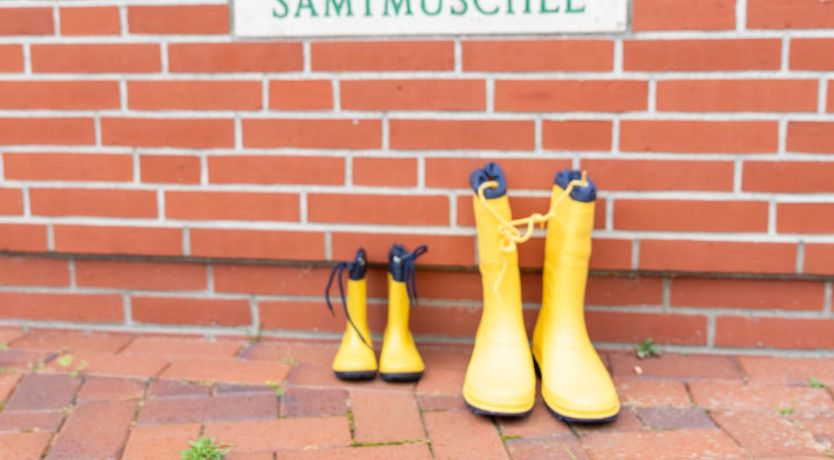 Photo of Samtmuschel Holiday Home 2