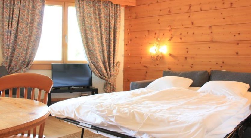 Photo of Le Bristol A46 Apartment 20