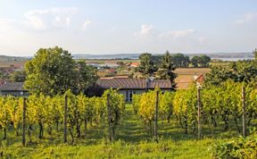 Photo of Milovice