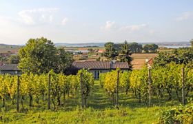 Photo of milovice
