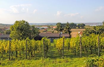 Milovice Holiday Home