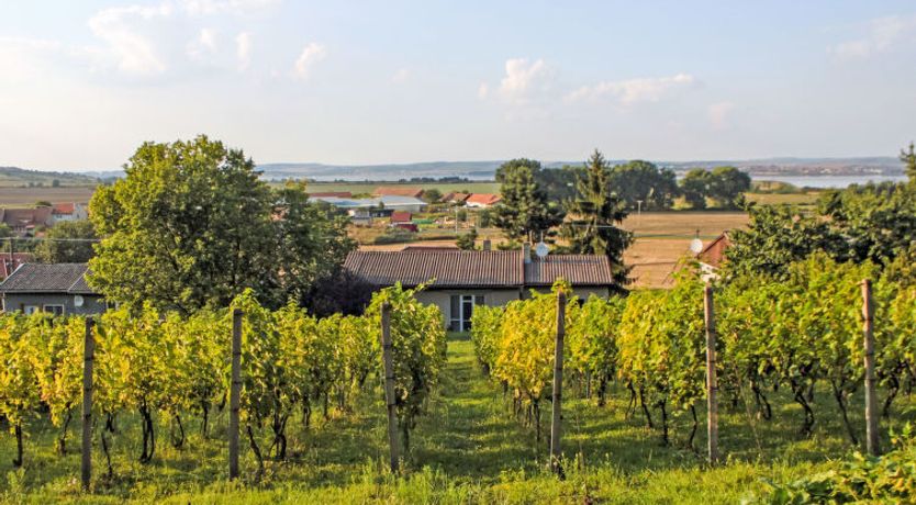 Photo of Milovice