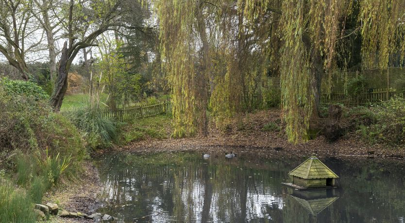 Photo of A Parliament of Owls