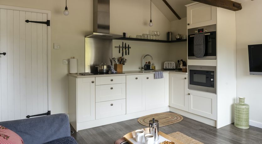 Photo of A Parliament of Owls