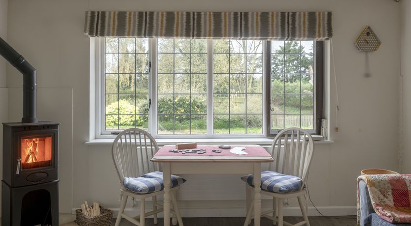 Photo of A Parliament of Owls