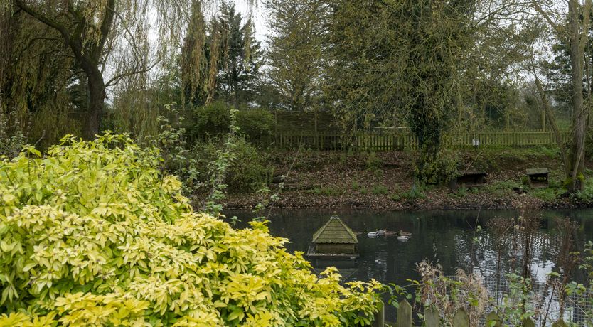 Photo of A Parliament of Owls
