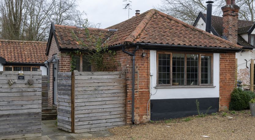 Photo of A Parliament of Owls