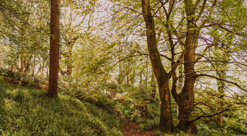 Photo of Life of Riley