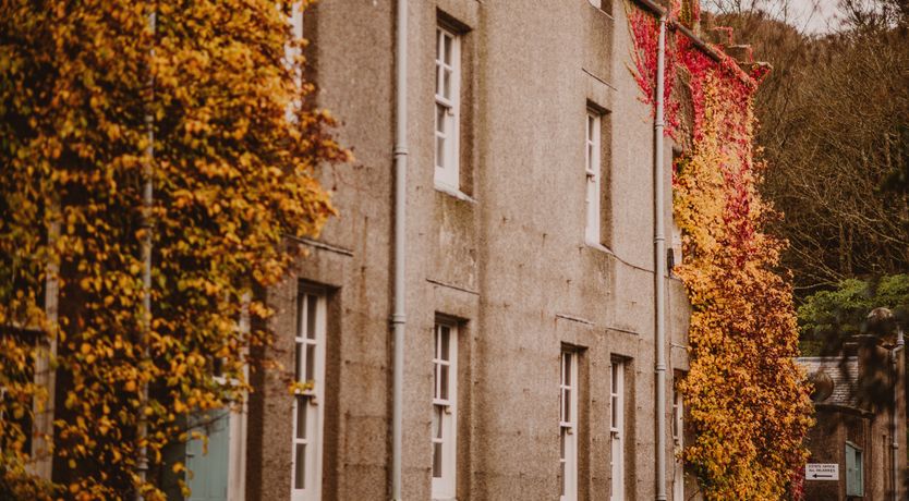 Photo of Life of Riley