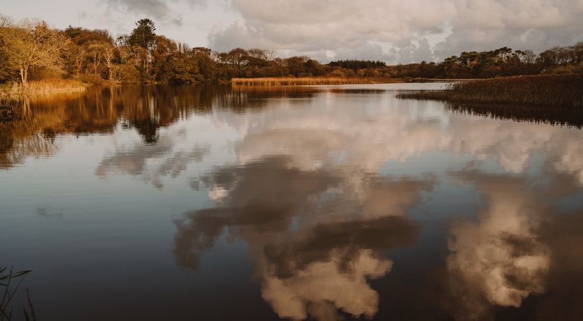 Photo of Life of Riley