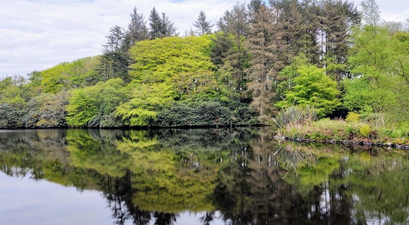 Photo of The Tallest Tower