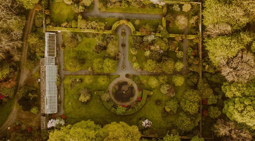 Photo of The Tallest Tower