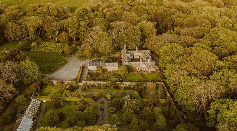 Photo of The Tallest Tower