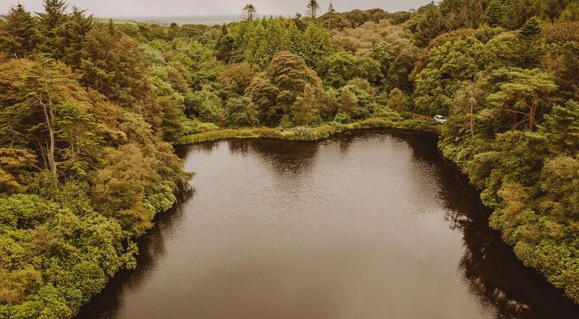 Photo of The Tallest Tower