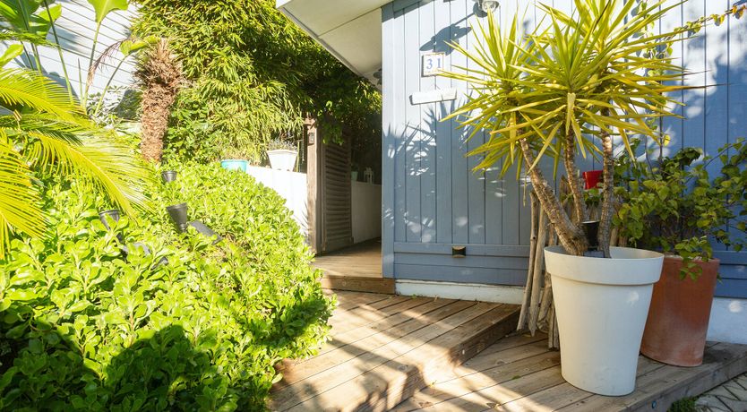 Photo of Driftwood & Rosé