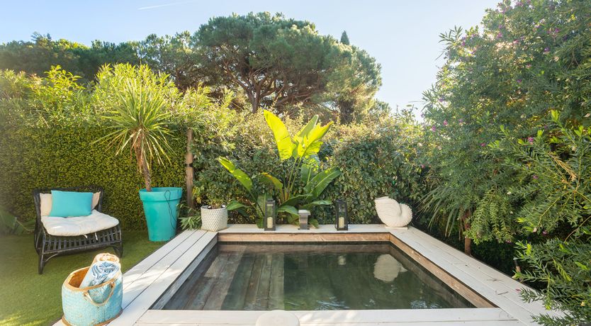 Photo of Driftwood & Rosé