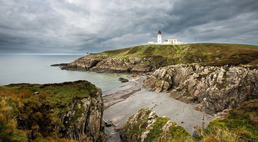 Photo of Under The Camellia Tree