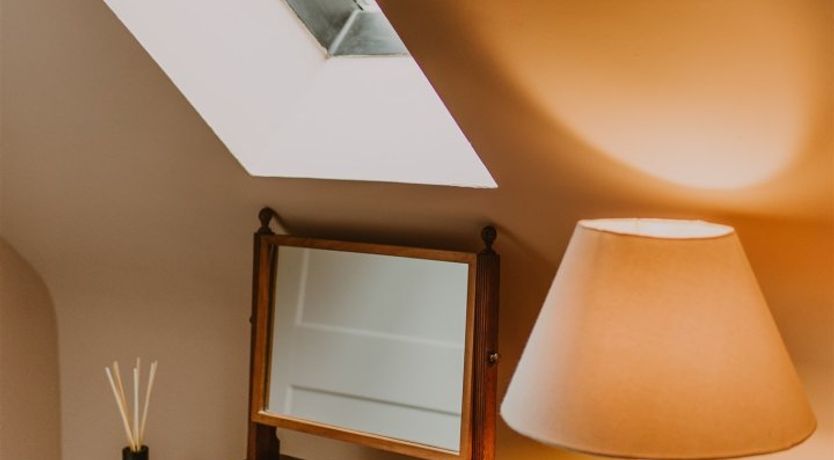 Photo of Under The Camellia Tree