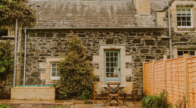 Photo of Under The Camellia Tree