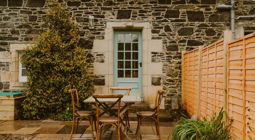 Photo of Under The Camellia Tree