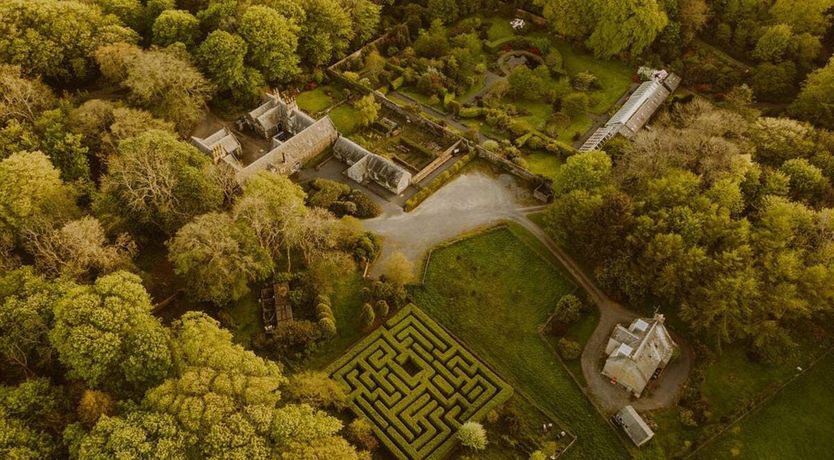 Photo of Under The Camellia Tree