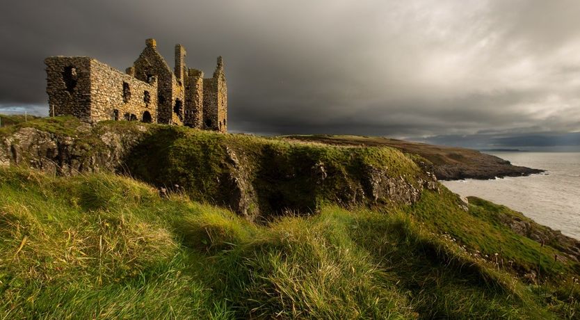 Photo of Under The Camellia Tree
