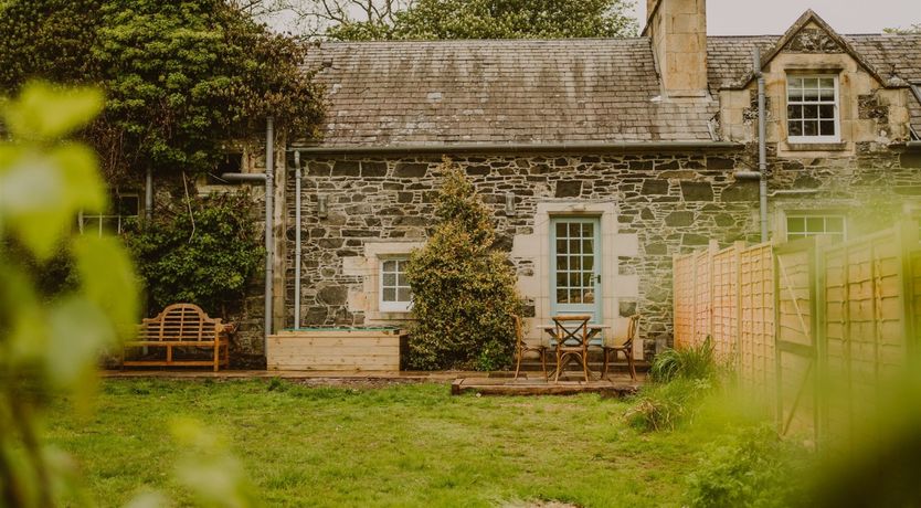 Photo of Under The Camellia Tree