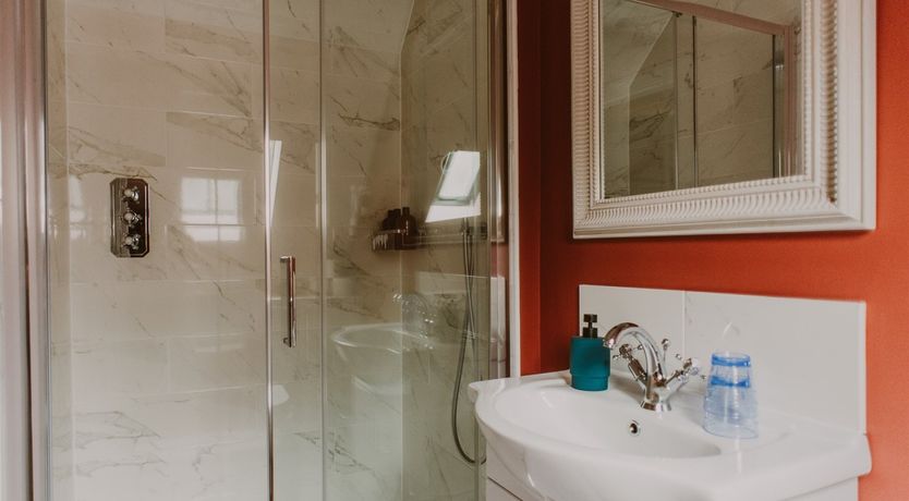 Photo of Under The Camellia Tree