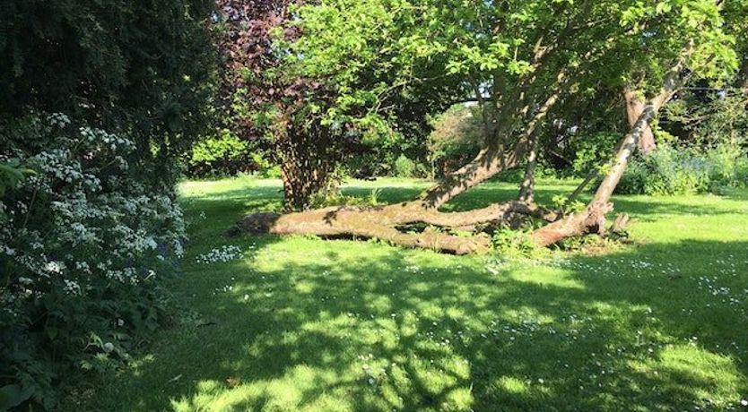 Photo of Where The Art Is