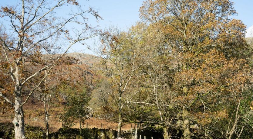 Photo of Fields & Fells