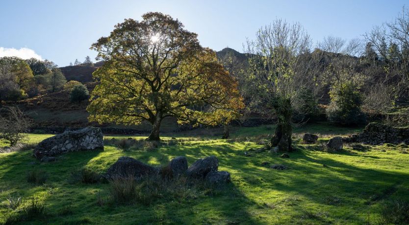 Photo of Fields & Fells
