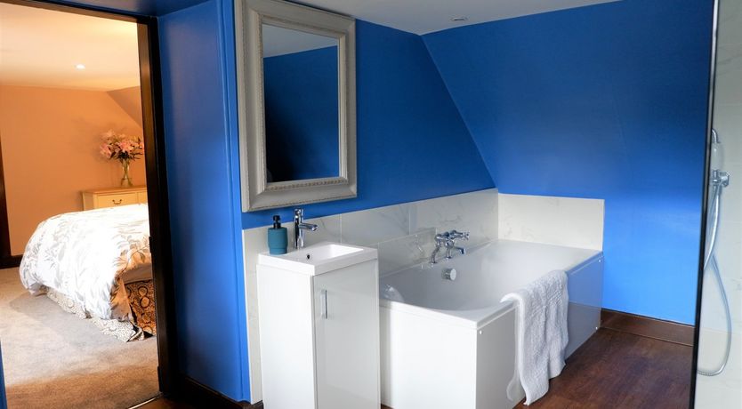 Photo of The Coachman's Dog