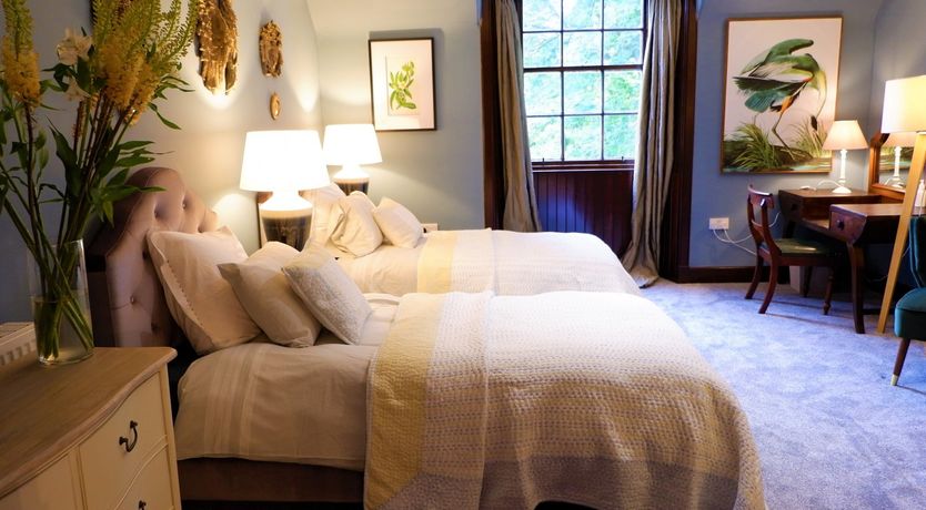 Photo of The Coachman's Dog