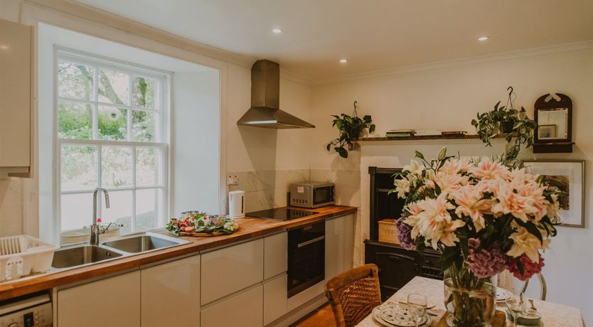 Photo of The Coachman's Dog