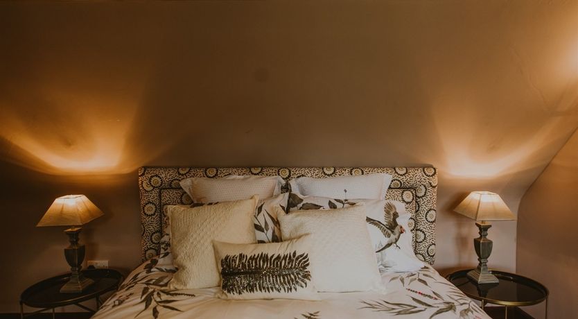 Photo of The Coachman's Dog