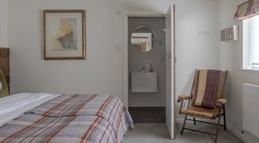 Photo of A Flock of Ducks