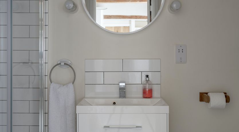 Photo of A Flock of Ducks