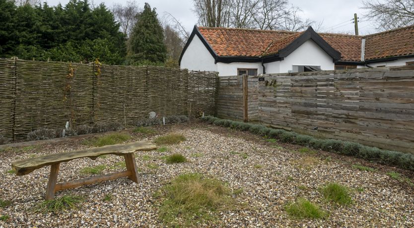 Photo of A Flock of Ducks