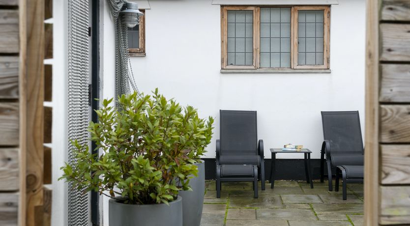 Photo of A Flock of Ducks