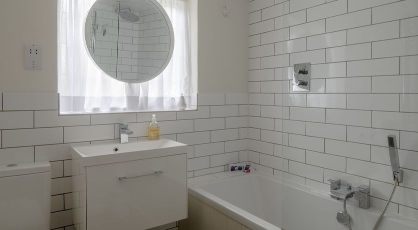 Photo of A Flock of Ducks