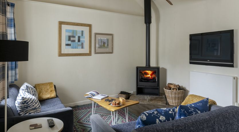 Photo of A Flock of Ducks