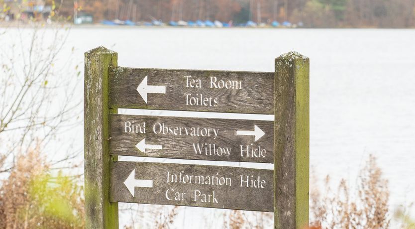 Photo of Look of Luxe